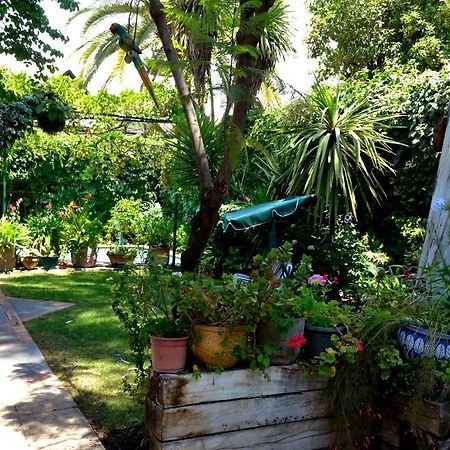 Casa Muriel Santiago Ngoại thất bức ảnh