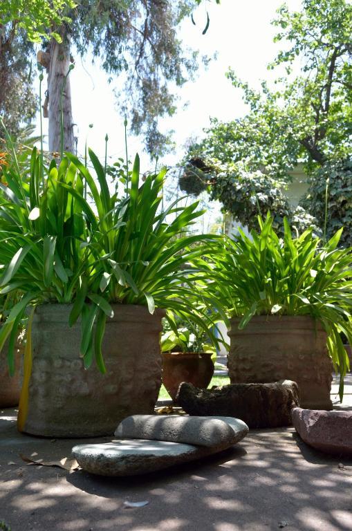 Casa Muriel Santiago Ngoại thất bức ảnh