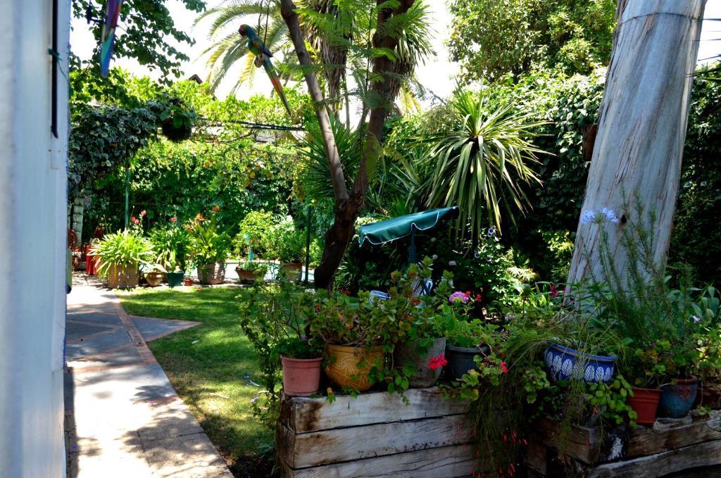 Casa Muriel Santiago Ngoại thất bức ảnh